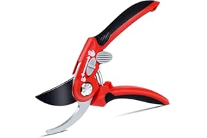 Yeerain Cesoie Giardinaggio, Forbici Potatura per Rose Premium Rivestite in Titanio, in Acciaio SK5, Forbici da Potatura per Piante Bonsai, Fiori, Raccolta, Frutta, Verdura