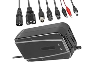 RAOKSUNE 36V 3A Lead acid battery charger for GT GT750 IZIP I600 electric bicycle scooter go-kart (Not for Li-ion batteries)