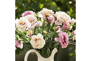 FOGCROLL 50 Pièces Graines d'Eustoma, Graines Fleurs à Semer, Graine de Fleurs d'Eustoma, Facile à Planter, Graine de Lisianthus pour Jardin et Balcon, Semences de Lisianthus, Belles Fleurs (Style E)