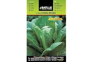 Semillas Batlle Lechuga Inverna S.SUPERINVERNA