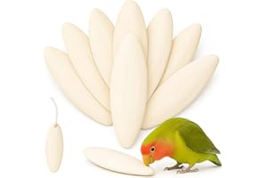 XIANGLONGY 10 Pieces Cuttlefish Bone, Natural Cuttlefish for Birds, 3.15-4.33 Inches, Suitable for Providing Calcium for Pets such as Birds, Turtles, Snails and Reptiles