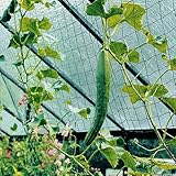 Beckmann KG RAN Ranknetz