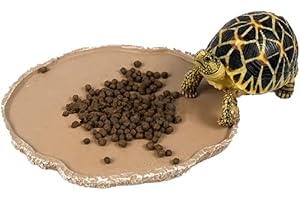 UEETEK Animali Domestici Piastra Rettile di Alimentazione Alimentazione Ciotola Vivarium Cibo Acqua Piatto Resina Ciotola per Turtle Gecko Serpente Animali Allevamento Vassoio