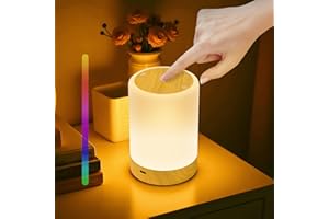 LYSUMURL Dimmable Night Light, Rechargeable Baby Touch Bedside Lamps, RGB Colour Changing LED Bedside Lamp, 5 Brightness Adjustments, Led Touch Night Light for Bedroom, Living Room, Camping