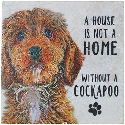 Cockapoo Breed of Dog Illustrated on a Marble Drinks Coaster Perfect Gift