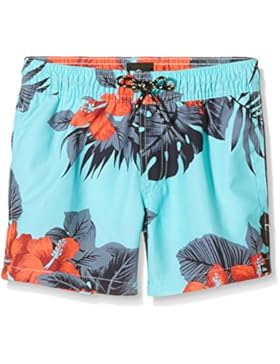 Quiksilver Jungen Badeshorts Havanavlyo 13 B