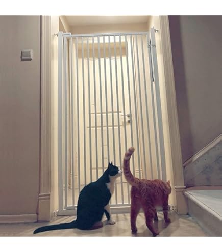 Xifamniy Barrière De Sécurité Extra Large En Métal Blanc Pour Porte Couloir Escalier 63 A 207 Cm 63 A 207 Cm Pour Porte Couloir Escalier Noir 177 187 Cm
