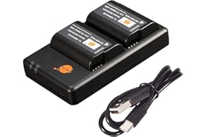 DSTE ELECTRON DSTE DMW-BLK22 - Batería y cargador de batería de iones de litio (2350 mAh/7,2 V, compatible con Panasonic Lumix S5 DC-S5K DC-S5GK, 2 unidades)