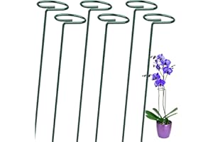 OAHAO 6 Pack Plant Stakes for Flowers, Metal Single Stem Plant Support, Plant Cage Support Ring with 10 pcs Plant Clips for Climbing Plants Garden Stakes for Amaryllis Orchid Lily Rose Tomatoes(40cm)