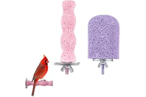 GETJOY 2 PCS Parrot Perch Set, Wavy Claw Grinding Stick with Ice Cream Budgie Perch, Bird Perches for Cage for Beak and Claw Care, Small Pet Perches for Parrots Budgies