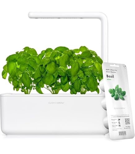 Cartouches Croissance Fraises 3 Recharges Pour Jardinière Click & Grow - Culture Facile Sans Entretien Fraise Des Bois Cartouches Croissance Fraises 3 Recharges Pour Jardinière Click & Grow - Culture Facile Sans Entretien Fraise Des Bois