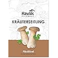 Hawlik Pilzbrut Mushroom Spawn - Growing Oyster Mushrooms on Straw - Growing Fresh Mushrooms Easily - 20 Mushroom Plugs inoculated with Mycelium - Growing Oyster Mushrooms Yourself