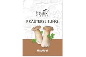Hawlik Pilzbrut - Cultivar setas de cardo en paja - cultivar setas frescas fácilmente - 20 tapones de seta de cardo inoculados con micelio - kit cultivo setas - setas autocultivo