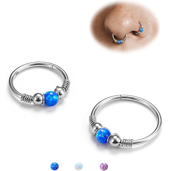 Boucles D'Oreilles Cerceau Segment Articulé 16G - Helix Daith Conch Rook - Argent 8mm 10mm