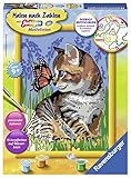 Ravensburger 28651 - Katze mit Schmetterling - Malen nach Zahlen - 