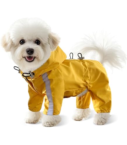 Hunde-Regenmantel Mit Kapuze – Wasserdicht, Reflektierend, Verstellbar, Größe S