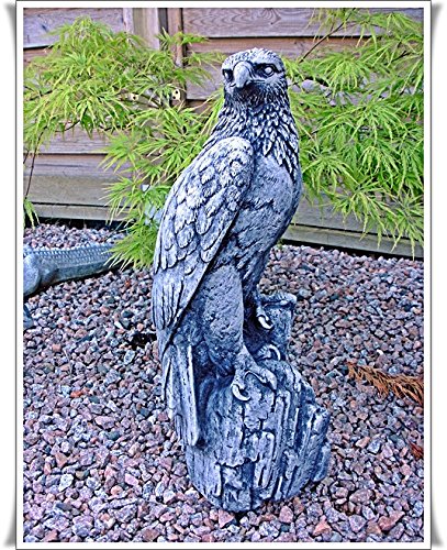 Steinfigur Seeadler Adler Falke Vogel Greifvogel Figur Massiv Raubvogel Gartenfigur - 5
