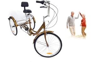 LENJKYYO 24 Inch Adult Tricycle 3 Wheel Bicycle Seniors Shopping Cargo Trike 6-Speed Gold Rickshaw Trike Bike w/Backrest Rear Basket