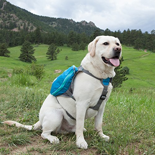 Outward-Hound-DayPak-Dog-Backpack