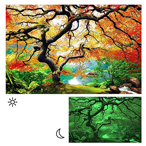 Startoshop, nachtleuchtende Leinwandbild, Wandbild Baum, Ahorn im Herbst 80 cm x 120 cm