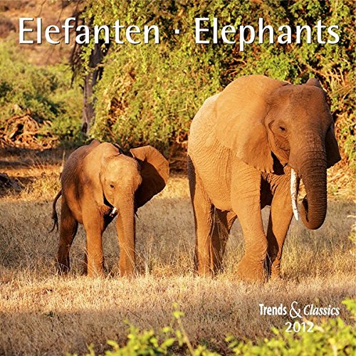 Elefanten - T & C-Kalender 2012