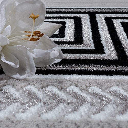 Teppich Wohnzimmer Bordüre Ornament Muster Abstrakt Design Meliert Grau, Grösse:80×150 cm - 3