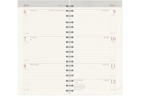 GILT EDGED 2026 Senator (13 month) Pocket Diary Insert/Refill - Week to View - (INN) Cream paper