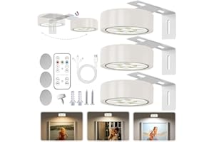 RIRIDAMAI 3 Pacchi Luce per Quadri Senza Fili con Telecomando,Magnetic Painting Light,3 Colore Luci per Quadri Senza Fili Ricaricabili con Timer, Luce LED per Quadri a Batteria,perFoto e Ritratti