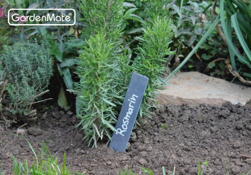 GardenMate® 8er Set Pflanzschilder XL 20x3cm aus Schiefer - 3