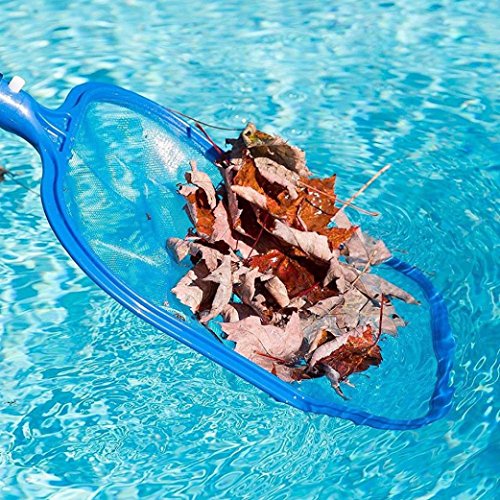 Keepwin Poolkescher Laubkescher Flachkescher mit stabilem Rahmen, Blatt Rechen Mesh Rahmen Netz Skimmer Reiniger Schwimmen Schwimmbad Spa Werkzeug (Blau) - 2