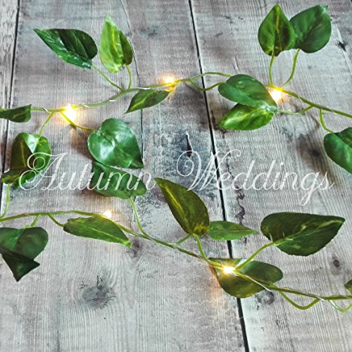 Ivy Fairy Lights / String Lights - 2m 20 LED - Wedding Decorations - AA Battery Powered - Warm White - Indoor Leaves - Leaf Garland with Lights - Fairy Lights Bedroom - Leaf Fairy Lights - Fairy Lights Leaf - Prime Delivery