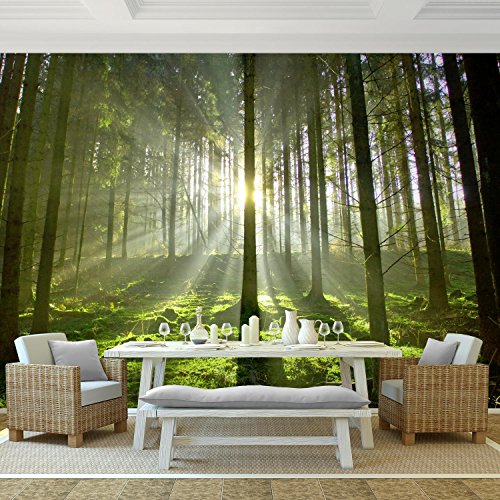 Fototapete Wald 396 x 280 cm – Vliestapete – Wandtapete – Vlies Phototapete – Wand – Wandbilder XXL – !!! 100% MADE IN GERMANY !!! Runa Tapete 9037012c … - 2