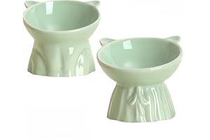 NBBENG 2 Pack Ceramic Raised Cat Food Bowl, Cat Bowls for Food and Water, Raised Cat Bowl Elevated Cat Feeding Bowls with Stand, Tilted Neck Protective Bowl for Pets, 15° Tilted, Green