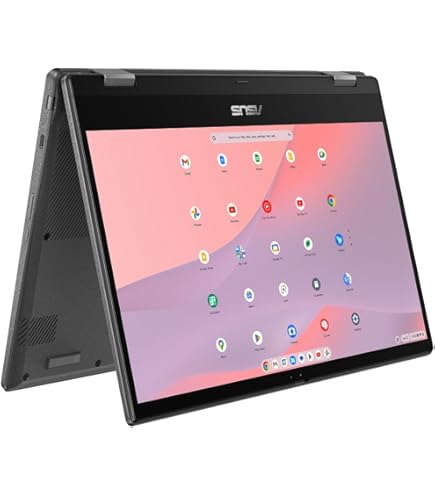 ASUS Touchscreen Chromebook Flip C214MA 11.6 Inch Laptop (Intel