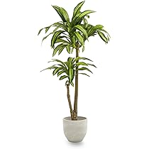 Albero di dracaena artificiale per interni, alto 1,5 m