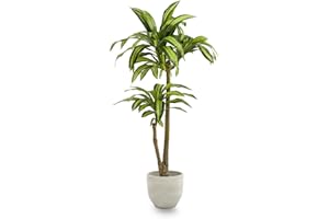 Maia Shop Plantas Artificiales Decorativas - Drácena Artificial 130 cm, Arbol Artificial, Planta Artificial Realista, Drácena Artificial, Decoración Hogar.