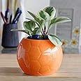 UGAOO Football Ceramic Pot (Orange)