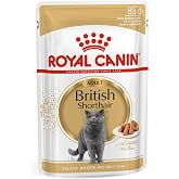 Royal Canin British Shorthair Konserve 85 gr x 12 Adet