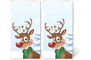 SERVIETTEN WEIHNACHTEN 20 winterliche Taschentücher Weihnachten Rudi for Christmas - Rentier in Weihnachtsstimmung für Kinder und Erwachsene als Geschenk im Winter. 2 Packungen mit 10 einzelnen Papiertaschentücher.