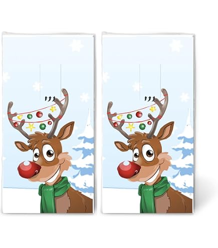 20 Fazzoletti Di Carta Natalizi Con Motivo Nano Invernale – 2 Confezioni Da 10, 4 Strati, 22x21 Cm, Prodotto In Germania