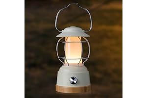 AUROGEEK Camping Lights Rechargeable lantern: Battery Powered USB Stepless Dimmable 20-800LM Warm White 3000K Table Lamp with Decorations Function for Garden Hiking Fishing Bedside Bedroom Living