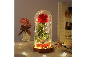 Dream of Flowers La Belle et la Bête Rose Ensemble - Cadeau de Saint-Valentin pour Elle - Rose Éternelle, Dôme en Verre avec Lumières LED, Cadeau pour Femme, Bons Voeux