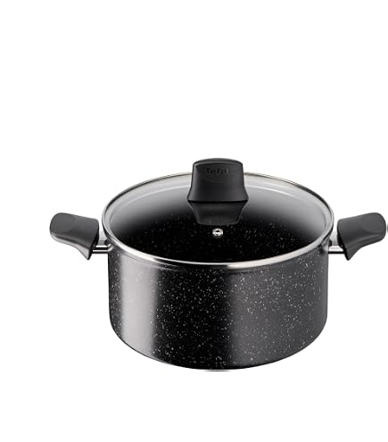 Faitout Tefal Hard Stone 22 Cm - Revêtement Mineralia+, Tous Feux Sauf Induction