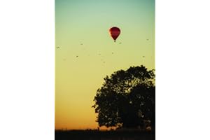 A set of 50 beautiful large high quality picture cards that invoke emotions, memories and stimulate deep thinking, and create a foundation for great ... 1 (Coaching Resources for professionals)