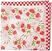 Vbirds Woman Coloured Handkerchief pack of 3 RS.95.00