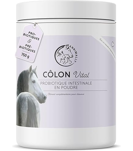 Charbon Alimentaire Pour Chevaux - Seau De 5 L De Charbon Alimentaire De Qualité Supérieure Pour Une Digestion Saine, Pour La Prévention Et Comme Aide Naturelle Immédiate En Cas De Coliques Et