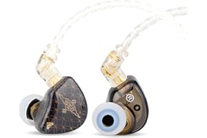 Linsoul TANGZU WAN’er S.G HiFi 10mm Dynamic Driver Pet Diaphragm in-Ear Earphone with Ergonomic Shape, Detachable 2Pin OFC Braided Cable for Audiophile Musician DJ Stage (3.5mm, Wan'er S.G, Black)