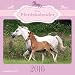 Mein Pferdekalender 2016 - Broschürenkalender (30 x 60 geöffnet) - Tierkalender - Wandplaner by