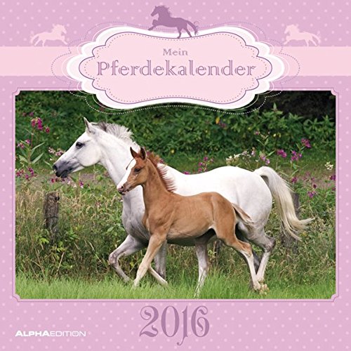 Mein Pferdekalender 2016 - Broschürenkalender (30 x 60 geöffnet) - Tierkalender - Wandplaner