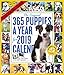 Produktbild 2019 365 Puppies a Year Picture-A-Day Wall Calendar